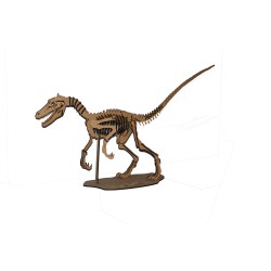 Large Velociraptor