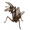 Praying Mantis 3D Puzzle