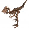 Raptor 3D Puzzle