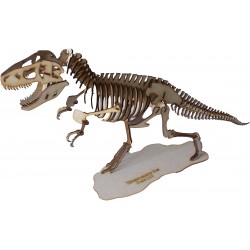 T-Rex Anatomically Correct 3D Puzzle